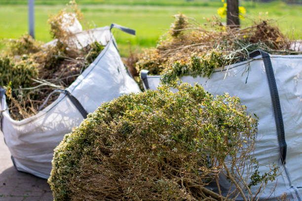 Professional Junk Removal in Mount Hope, WV